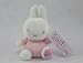 Baby Girl Two Tier Nappy Cake New Born Baby Shower Gift with Miffy Teddy