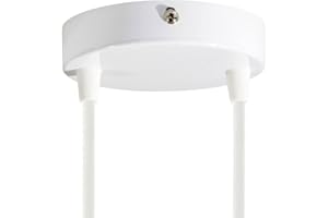 creative cables - Kit Rosace métallique cylindrique à Deux Trous - Conique, Blanc Brillant