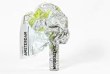 Crumpled city map. Amsterdam. Ediz. multilingue
