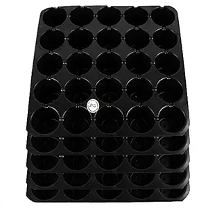 Kraft Seeds Seedling Tray - Pack of 5,Black