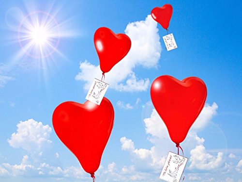 100 elegante Ballonflugkarten (Set 04) für die Hochzeit / Luftballon Postkarten von EDITION COLIBRI – umweltfreundlich, da klimaneutral gedruckt - 4
