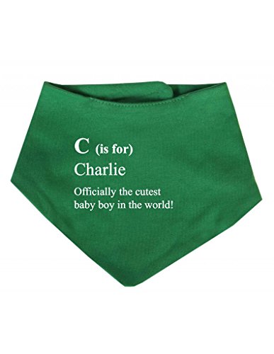 Letter Is For Name Personalised Dictionary Definition Cute Custom Bandana Baby Bib