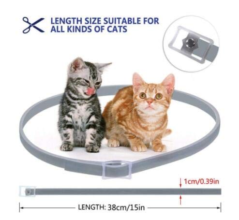 Zwini-Collier-Anti-puces-et-Anti-tiques-pour-Collier-Anti-puces-pour-Chat-Naturel-avec-Protection-de-Chat-de-8-Mois
