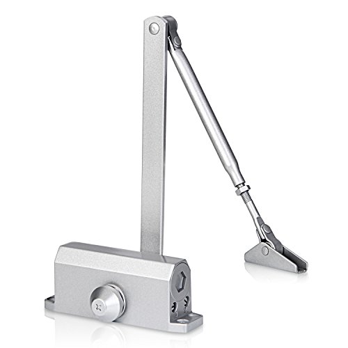 Amzdeal Türschließer Türstopper klein Aluminium-Druckguss Minitürschließer für Tür (Silber)