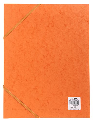 Exacompta 18517H - Carpeta de proyecto con goma  color naranja