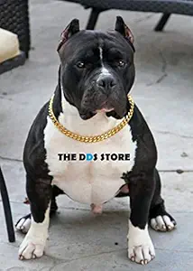 The DDS Store Brass Dog Choke Chain Training Collar, 24 Inch