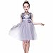 Produktbild 2018 Neue Pailletten Prinzessin Kleid Kleinkind Kinder, DoraMe Baby Mädchen Rundhals Ärmelloses Tutu Kleid Floral Brautjungfer Tutu Kleid Tiered Hochzeit Kleid für 0-9 Jahr (Silber, 12 Monate)