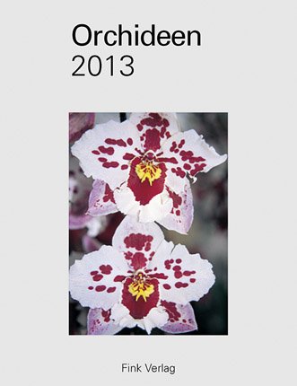 Orchideen 2013: Foto-Einsteckkalender
