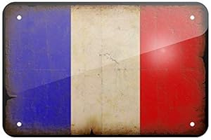 EPOCHSIGN Plaque en métal avec drapeau français au look vintage, plaque en métal 8 x 12 pouces