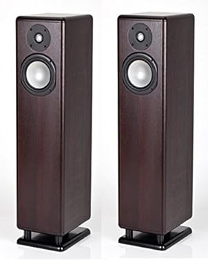 Chario Syntar R 530r Wenge Coppia Di Casse Acustiche Da Pavimento Garanzia Uffic