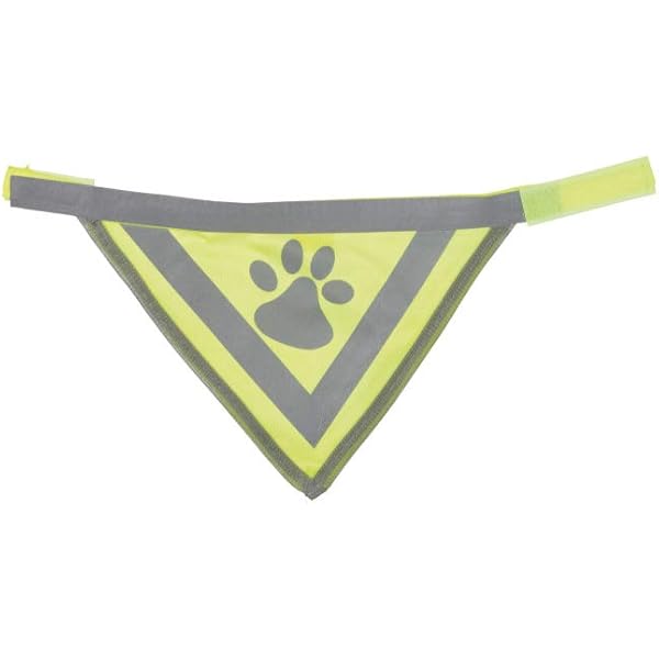 culotte rembourrée