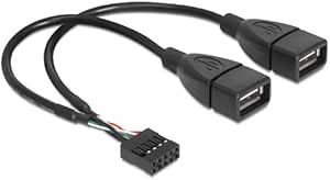 DELOCK Kabel USB Pinheader Buchse > USB-A 2 x Buchse 20 cm