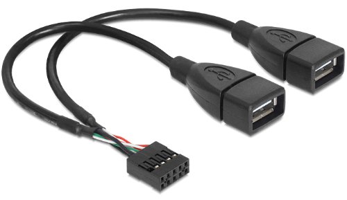 DELOCK Kabel USB Pinheader Buchse > USB-A 2 x Buchse 20 cm