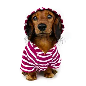 DJANGO Dog Hoodie and Super Soft and Stretchy Sweater with Elastic Waistband and Leash Portal (Small, Boysenberry)