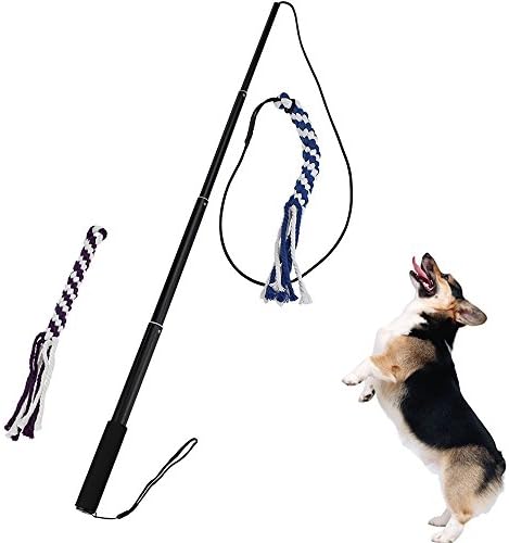 Pet Dog Cat Puppy Training Stick Extendable Length Interactive Wand Outdoor Play Fun Interactive Chasing Dog Toy (2 Rope) (L, Black)