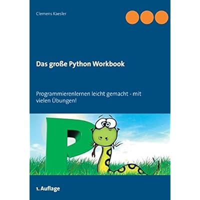 python workbook pdf