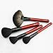 Luxury 21 PCS Professional Makeup Brush Tools Sets / Kits Natural Cosmetic Animal Hair Brushes with Pouch and Bag Black/Coffee/Red (Red)
