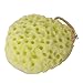 Imported Bath shower Exfoliator Body/Face Washing Cleansing Pad Sponge Cosmetic Washing Puff RS.210.00