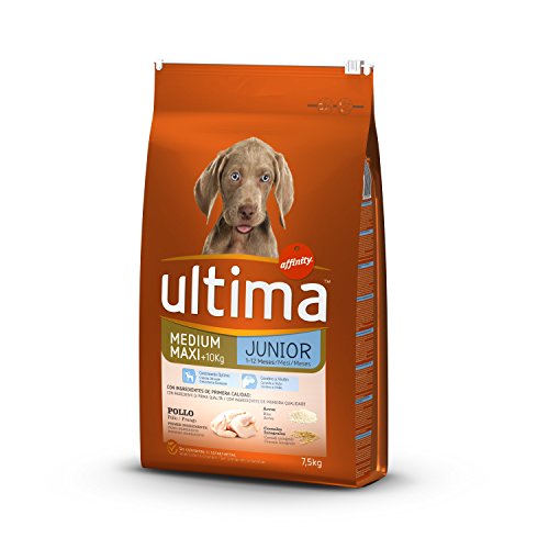 Ultima Pienso para Perros Medium Maxi Junior con Pollo - 7.5 kg