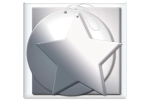 THE HOME FUSION COMPANY 12 x Foil Christmas Xmas Present Shaped Gift Tags in Red Silver or Gold, Silver