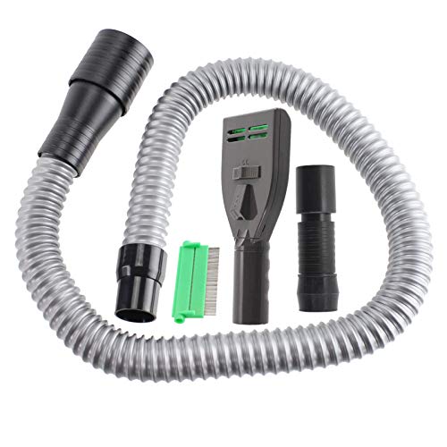 Brosse Cheveux Puces