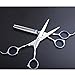 Saebye Professional Dual Haircutting Scissors 6 inch Sharp Blades Barber Shears Thinning Hair Cut Scissors Set