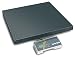 Produktbild Allround-Plattformwaage [Kern EOE 300K100L] mit Top Preis-Leistungs-Verhältnis, Wägebereich [Max]: 300 kg, Ablesbarkeit [d]: 100 g, Wägeplatte: BxTxH 505x505x65 mm (Metall lackiert)