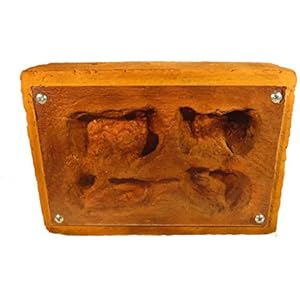 AMEISENNEST | Neststein 