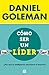 Como ser un lider / What Makes a Leader: ¿Por qué la inteligencia emocional sí importa? (No ficción) by