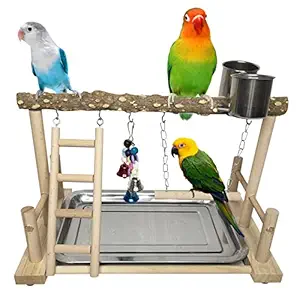 PINVNBY Bird Playground?Parrot Playstand?Bird Play Stand?Wood Perch Gym Stand Swing Ladder with Feeder Cups Exercise Play Include Tray for?Parrot Parakeet Conure Cockatiel Budgie Cage Accessories