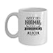 Produktbild ALICIA Coffee Mug - Personalized Name Mugs Gift for ALICIA Him, Her, Adult - On Chritmas Day, Thank's Giving, Birthday - Why Be Normal When You Could Be A ALICIA 11 Oz Funny White Mugs