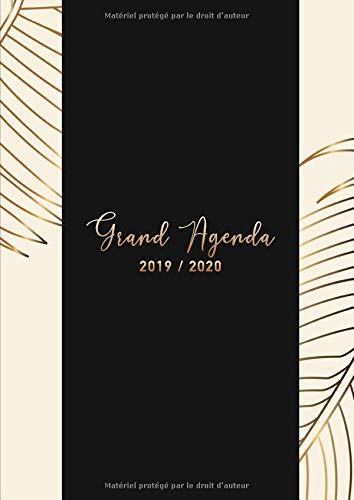 Télécharger Grand Agenda 2019/2020: 18 mois Agenda de Juillet 2019 à Décembre 2020, Semainier grand format 21x Gratuit