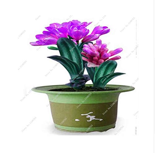 Preisvergleich Produktbild GEOPONICS Loading.