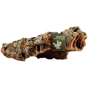 Komodo Rindenstück für Terrarien, klein