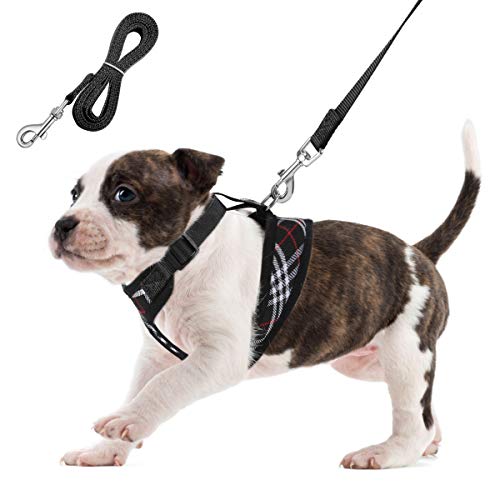 arnes perro pequeño arnes gato- Unihubys Arnés de perro de malla blanda No Pull Comfort Chaleco acolchado para perrito o gato