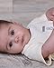 The Essential One - Unisex Lemon 3 pack Baby Vests / Bodies-3-6 Months ESS91