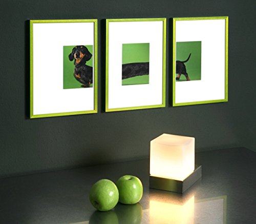 Nielsen Aluminium Wechselrahmen C2 - 5