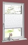 Lieferumfang: Plisseerollo, Montage-und Befestigungsmaterial (inkl. Klemmträger) für Montage am Fensterrahmen, Bedienungs-und Montageanleitung