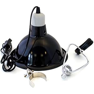 Medium Reflektor-Klemm-Lampe 22 cm - Comfort Clamp Lamp E27 Fassung