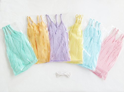 Fertige Pastell-Regenbogen-Farbene Fransen-Girlande – Tassel Girlande - 3