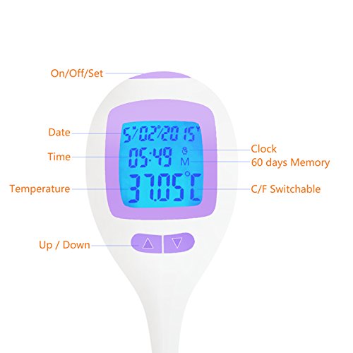 Digitale BasalThermometer für Eisprungtest, blaue Hintergrundbeleuchtung, 60 Tage Speicher, Datums- und Zeitanzeige, C / F umschaltbar - 2