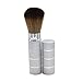 Sanwood Retractable Handle Makeup Brush Cosmetic Kit Powder Blush (Silver)