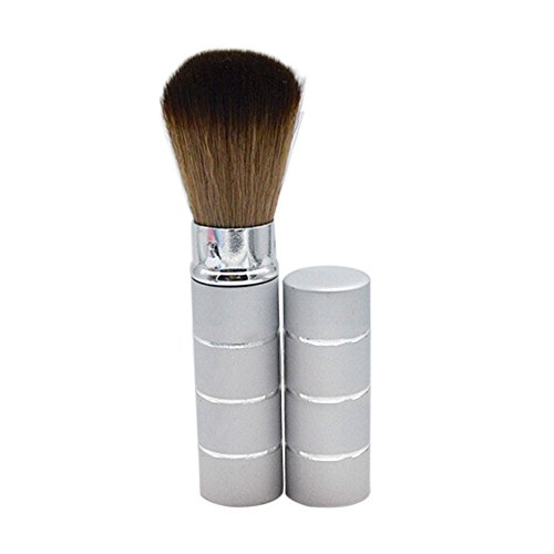 Sanwood Retractable Handle Makeup Brush Cosmetic Kit Powder Blush (Silver)