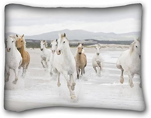 Custom Cotton &amp; Polyester Soft Animal Pillowcase Standard Size 20"X26" Design Pillow Case Cover suitable for Twin-bed