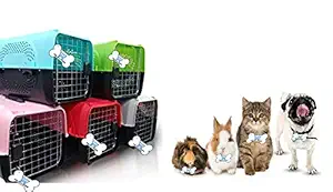 The DDS Store Pet Travel Carrier Dog Cat Rabbit Basket Plastic Handle Hinged Door Folding Collapsible Transport Box Crate Cage Size 19.5 x 13 x 12.5 Inch for Cats & Puppy (Grey)