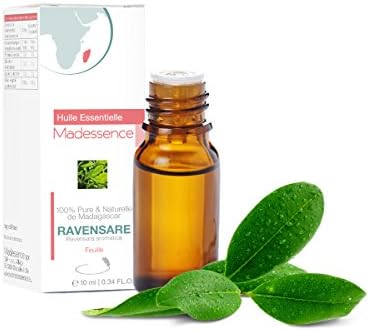 Ravensara Essential Oil - 0,34 fl. oz - Ravensara aromatica