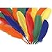 Price comparison product image ASSORTED COLOURED DUCK QUILLD 20G PACK