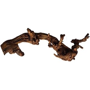 Rebwurzel sandgestrahlt (40-50 cm)