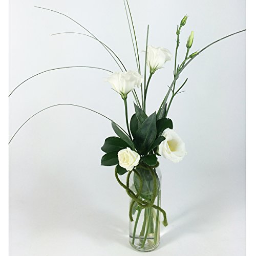 12 Stück Glasflaschen + gratis Dekoband H 16 cm „Designed by Annastore“ - 3