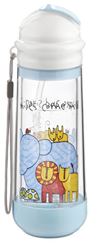 Drinkadeux DSARTSZ Glass Double Wall Insulated Bottle with Straw